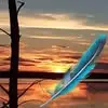 Nancy Wesley - @nancy.wesley94 - TikTok