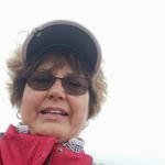 Nancy Wessel - @nwessel358 - Instagram