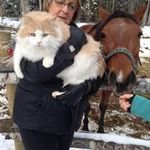 Nancy Ferris Wesson - @nancy_wesson - Instagram