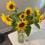 Nancy Wesson - @wesson.n - Instagram