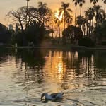 Nancy Westcott - @westcott6814 - Instagram