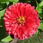 Nancy Westcott - @nwestcot - Instagram