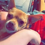 Nancy Wheat - Facebook