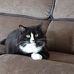 Nancy Wheatley - Facebook