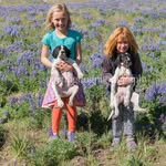 Nancy Whitehead - @nancywhiteheadphotography - Instagram