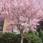 Nancy Whitehead - @whitehead3145 - Instagram