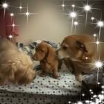 Nancy Whitehead - @nancy.whitehead.7 - Instagram