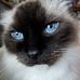 Nancy Whitehead - Facebook