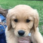 Nancy Whitehead Lyons - @ozzie_escobar_snider_2 - Instagram