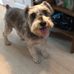 Nancy Whitfield - Facebook
