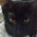 Nancy Whitfield - Facebook