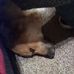 Nancy Whitfield - Facebook