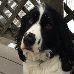 Nancy Whitten Duda - @nancywhittenduda - Instagram