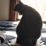 Nancy Whittier - @nancywhittier - Instagram