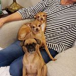 Nancy Cook-Wickham - @nantzycook - Instagram