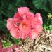 Nancy Wickham - Facebook