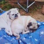 Nancy Wickham Lofthouse - @nancylofthouse - Instagram