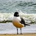 Nancy Lever Wiegand - Facebook