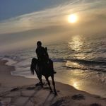 Nancy Wiegand - @nancywiegand9 - Instagram