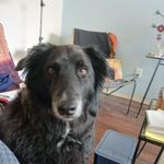 Nancy Wiegand - @nancywiegand - Instagram