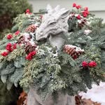 Nancy Wight-Bakker - @nwb04849 - Instagram