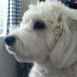 Nancy Wigman - @momtolola - Instagram