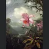 Nancy Wikes - @nancywikes - TikTok
