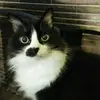 nancywikeen - @nancywikeen - TikTok