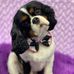 Nancy Wikstrom - Facebook