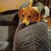 Nancy Wiberg - Facebook