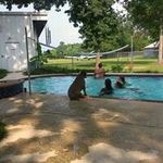 Nancy Wilcher - @nancywilcher - Instagram