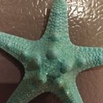 Nancy Wilcoxson - @nancyw4041 - Instagram