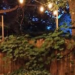 Nancy Wilcoxson - Facebook