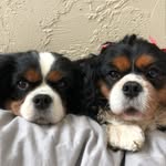 Nancy Smith Wilkie - @nancysmithwilkie - Instagram