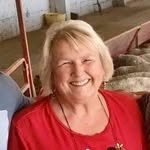 Nancy Wilkie McNeal - @nancywilkiemcneal33 - Instagram