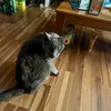 nancy Williams 1963 - @nancy.williams790 - TikTok