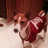 Nancy Wille - @nancy.wille - TikTok