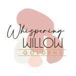 Nancy Sabiston~Whispering Willow Goldens - @whisperingwillow_goldens - Instagram