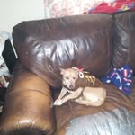 Nancy Wills - @nancywills65 - Instagram