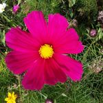 yasemin deniz - @nancywimmers415 - Instagram