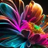 Nancy Winder - @nancy.winder - TikTok