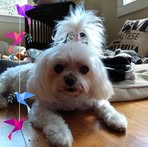 Nancy Wine - Facebook