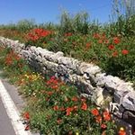 Nancy Bain Winegard - @nancywinegard - Instagram
