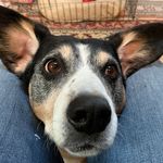 Nancy Winfield Poetes - @nancypoetes - Instagram