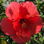Nancy Lira Wingertsahn - @nancywingertsahn - Instagram
