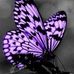 Nancy Wininger - Facebook