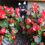 David Nancy Winslow - @davidnancywinslow - Instagram