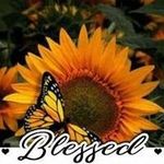 nancy winslow - @winslow.nancy - Instagram