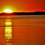 Nancy Winslow - @blackfishwellfleet - Instagram