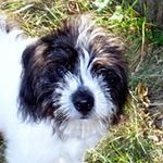 Nancy Winslow - @winslow2511 - Instagram